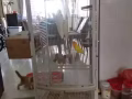 因搬家二手鳥籠+小鳥轉讓