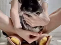 收一隻公龍貓