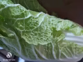 水饺～10元50粒！送到上门，自取都可以