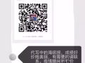 Essay 论文帮助修改润色写作