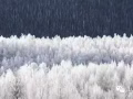 壁畫，浮雕壁畫