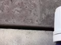 澳大利亞進口香精油.