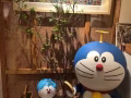 找房  两人间  三人间