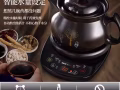中药壶