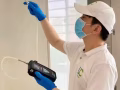 除甲醛/室内空气治理！！！新加坡新屋主的福音~！！！