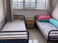 找个女室友合租，可报任何地址