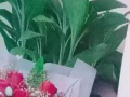 正规按摩保养