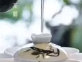 留香茶会免费体验活动