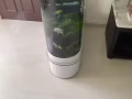 大型魚缸
