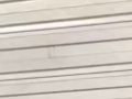 二手捷安特