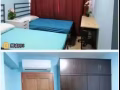 女皇镇求合租