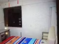 大巴窯有普通房出租