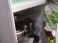 本人有三门冰箱急卖