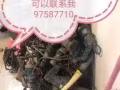 專業修理電動工具  工程機戒  需要的老闆給找我 價錢合理 專業維修