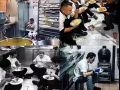 PR厨师找工作