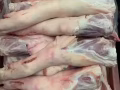 本地大型冷冻厂出售各种规格牛羊猪肉 印尼新鲜猪肉 各种海鱼