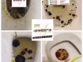 減肥糖果   歡迎諮詢