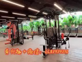 大型健身房 瑜伽 价格优惠，欢迎咨询了解。