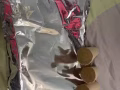 艾灸艾条大甩卖