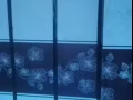 出售微波炉、屏风、衣柜