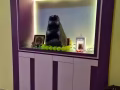 五房出售