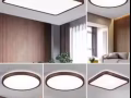 卧室，客厅各种吸顶灯， 维修， 安装， 订购