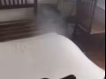 專業消滅臭蟲蟑螂等機器噴藥高效