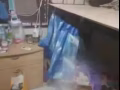 专业消灭臭虫蟑螂等机器喷药高效
