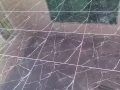 聘请贴瓷砖头手数位