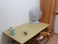 Bukit panjang Jelapang 514 房間出租