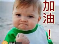 本地物流公司直招全职三号罗里司机, 车可驾回, 只招不占人头的