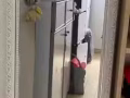 因搬家，处理