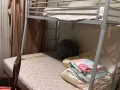 上下铺式床低价出售