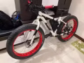 自行車，大輪胎只賣$680