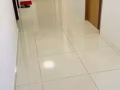 专业清洁