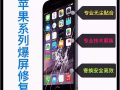 专业维修苹果三星华为OPPOVIVO小米手机屏幕玻璃电池LCD，外屏Glass，主板，各种手机问题