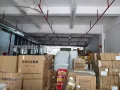 中国--新加坡 空运海运双线 优质服务 期待与您的合作