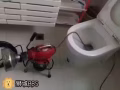 专业疏通下水道！地漏，管道！修马桶漏水，换马桶！换灯！组装家私！安灯！换锁！换信