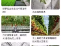 招聘无土栽培技术人员！！！！