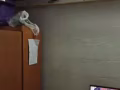 出租，主人房
