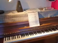 家中孩子自用鋼琴🎹