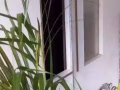 私人小房 近Ubi /Kaki Bukit/ MRT出租 85185194