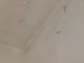 室内外装修：室内翻新，做隔间，油灰水，墙面补平，，旧柜拆除，旧灯更换，开关更换，