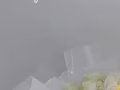 新加坡花店/玫瑰花束/生日花束/情人节花束/七夕花束/各种节日鲜花花束/开业花篮