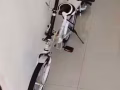 自行车