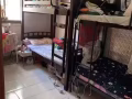 义顺大牌794招女搭房