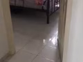 上下木床和双人床
