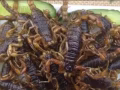 中国特色食品全岛免费送货