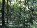 求租床位
