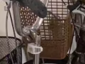 全新只骑一次出手自取